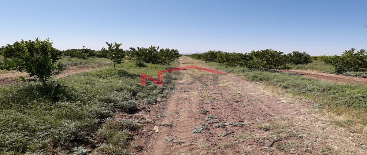 Foto de rancho en venta en san pedro de ures (san pedro) 0, san pedro de ures (san pedro), ures, sonora, 0 No. 03