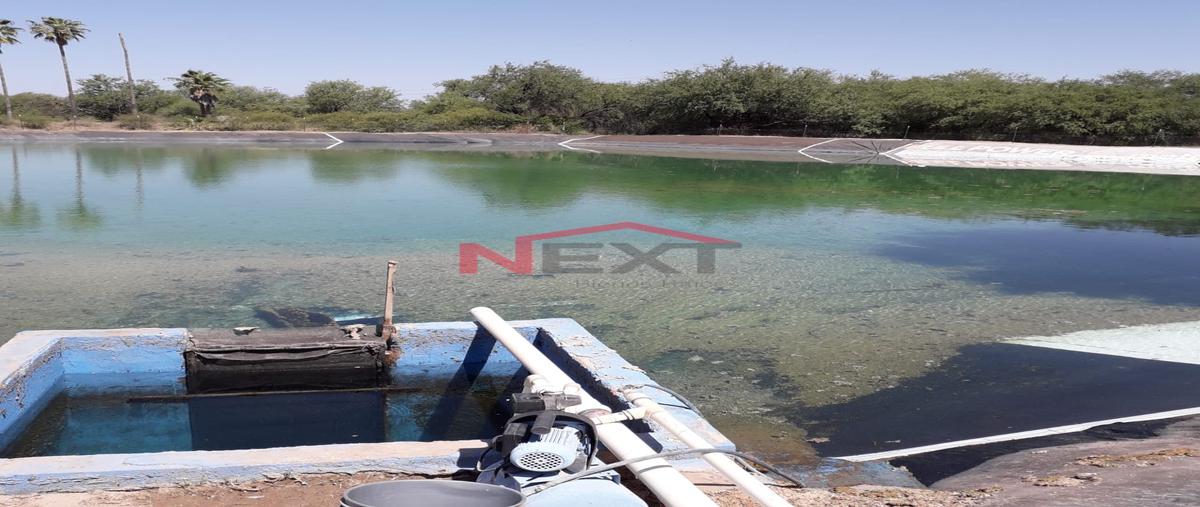 Foto de rancho en venta en san pedro de ures (san pedro) 0, san pedro de ures (san pedro), ures, sonora, 0 No. 05