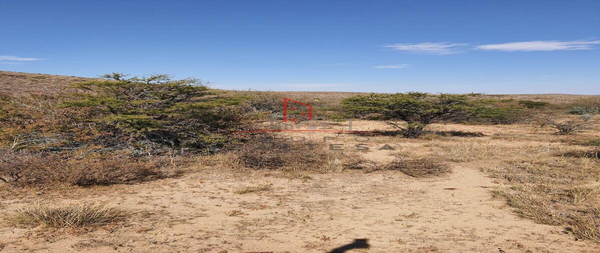 Foto de terreno habitacional en , san pedro del gallo (el gallo), san pedro del gallo, durango, 0 foto 05 Foto de terreno habitacional en venta en , san pedro del gallo (el gallo), san pedro del gallo, durango, 0 No. 05