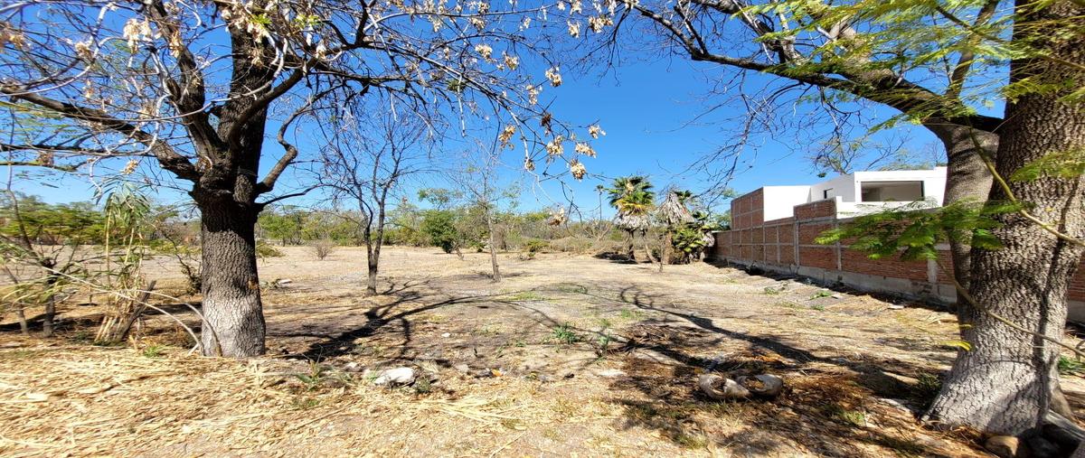 Foto de terreno habitacional en venta en  , san pedro del río, san francisco del rincón, guanajuato, 0 No. 03