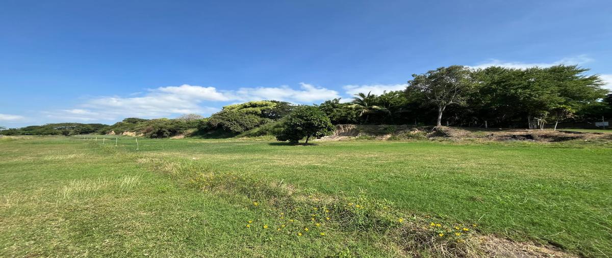 Foto de terreno habitacional en venta en  , san pedro fernando, tampico, tamaulipas, 0 No. 05