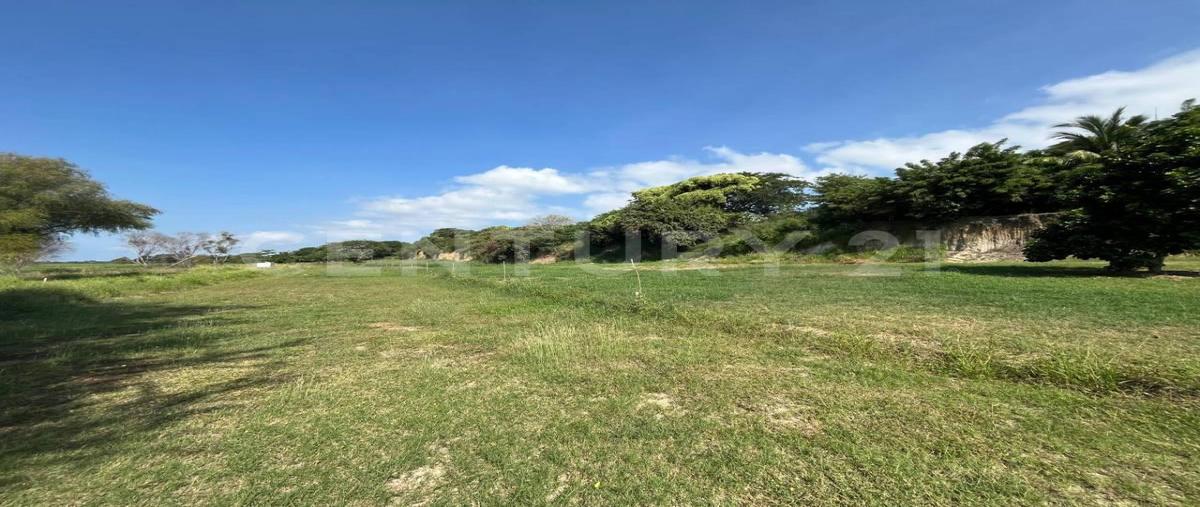 Foto de terreno habitacional en venta en  , san pedro fernando, tampico, tamaulipas, 0 No. 03