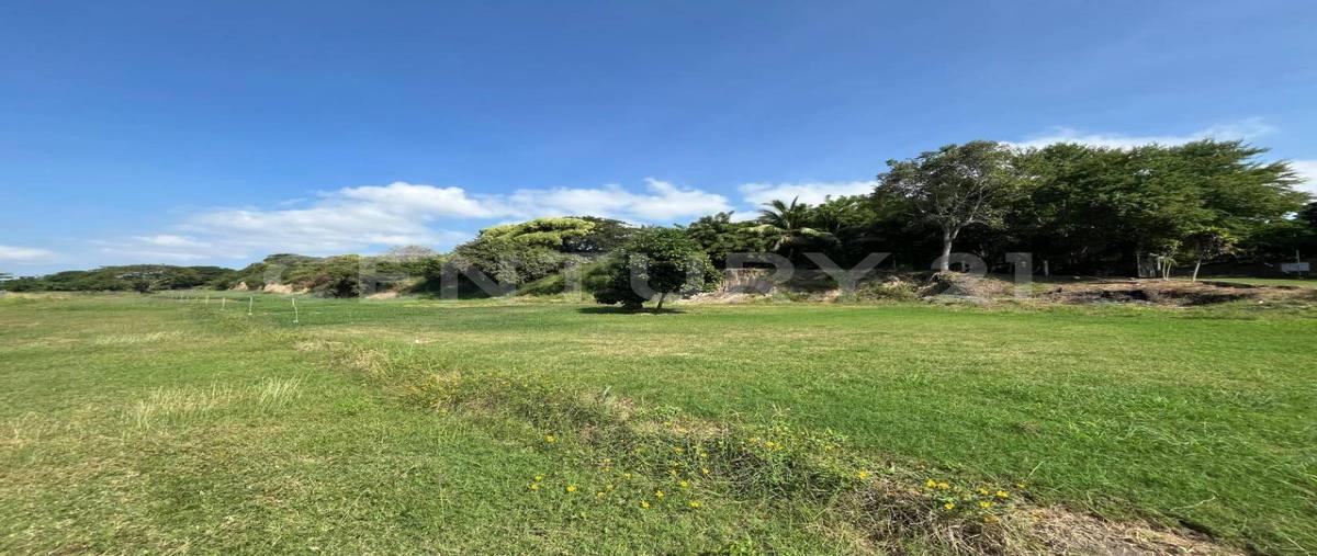 Foto de terreno habitacional en venta en  , san pedro fernando, tampico, tamaulipas, 0 No. 05