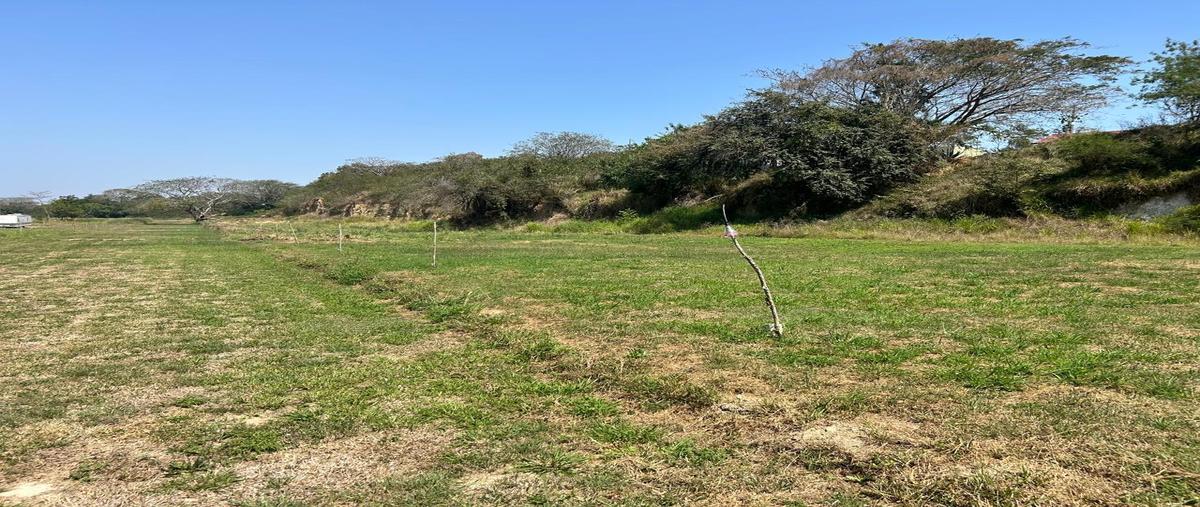 Foto de terreno habitacional en venta en  , san pedro fernando, tampico, tamaulipas, 0 No. 03