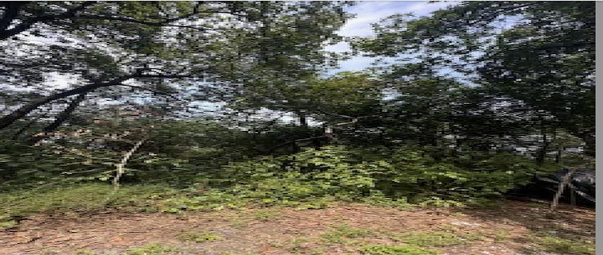 Foto de terreno habitacional en venta en  , san pedro garza garcia centro, san pedro garza garcía, nuevo león, 0 No. 03