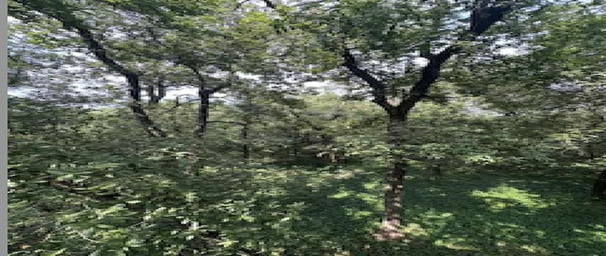 Foto de terreno habitacional en , san pedro garza garcia centro, san pedro garza garcía, nuevo león, 0 foto 02 Foto de terreno habitacional en venta en , san pedro garza garcia centro, san pedro garza garcía, nuevo león, 0 No. 02