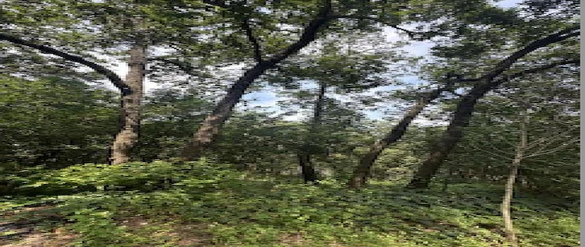Foto de terreno habitacional en , san pedro garza garcia centro, san pedro garza garcía, nuevo león, 0 foto 04 Foto de terreno habitacional en venta en , san pedro garza garcia centro, san pedro garza garcía, nuevo león, 0 No. 04