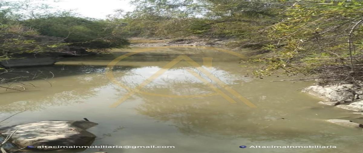 Foto de terreno habitacional en venta en  , san pedro, gonzález, tamaulipas, 0 No. 03