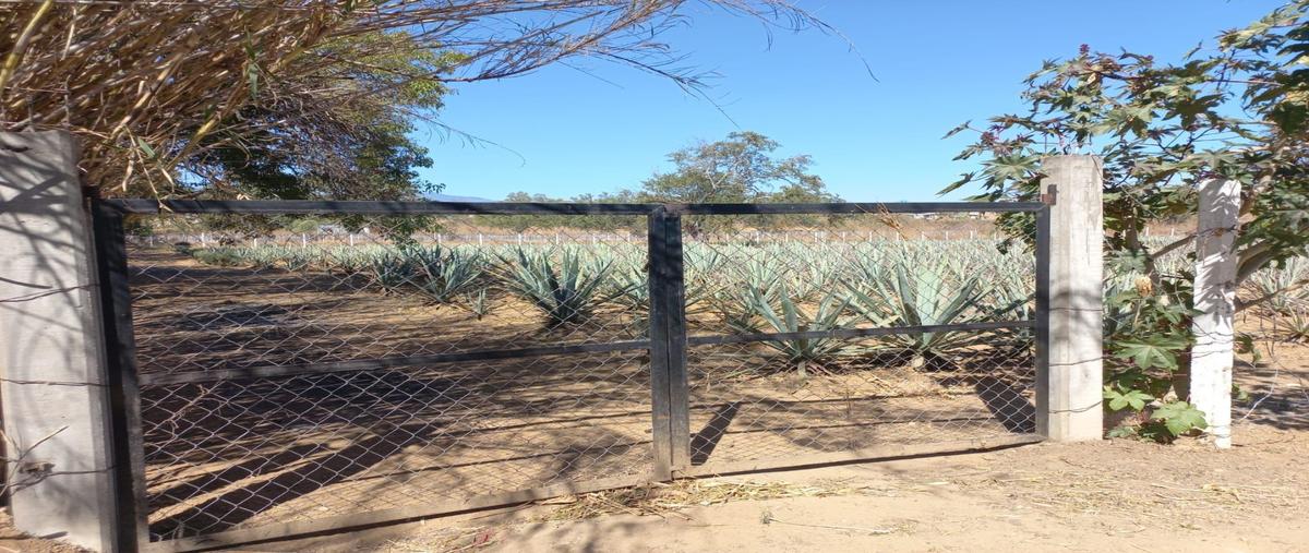 Foto de terreno habitacional en venta en  , san pedro ixtlahuaca, san pedro ixtlahuaca, oaxaca, 0 No. 05