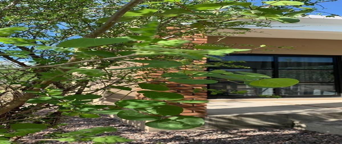 Foto de terreno habitacional en venta en  , san pedro, la paz, baja california sur, 26791290 No. 04