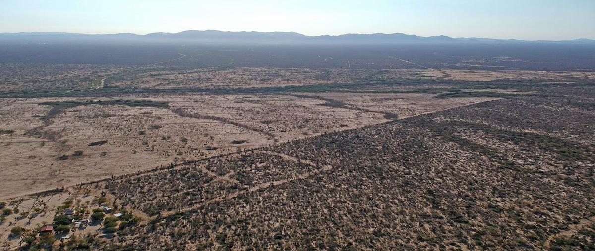 Foto de terreno habitacional en venta en  , san pedro, la paz, baja california sur, 27344114 No. 03