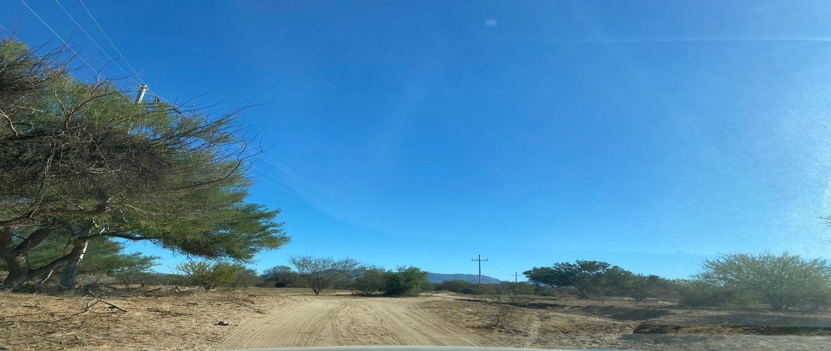Foto de terreno habitacional en venta en  , san pedro, la paz, baja california sur, 27344117 No. 03