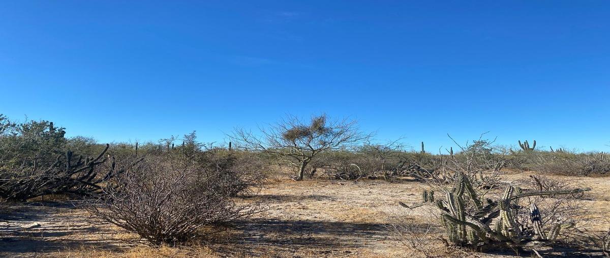 Foto de terreno habitacional en venta en  , san pedro, la paz, baja california sur, 27344117 No. 04