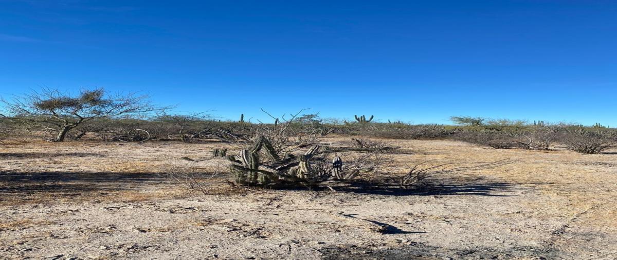 Foto de terreno habitacional en venta en  , san pedro, la paz, baja california sur, 27344117 No. 05