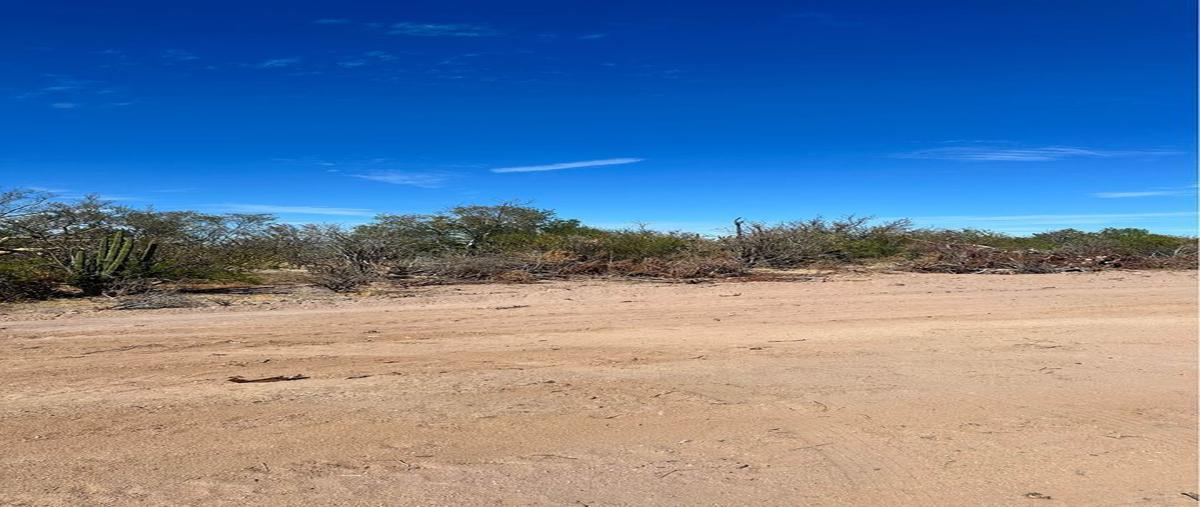 Foto de terreno habitacional en venta en  , san pedro, la paz, baja california sur, 27664846 No. 04