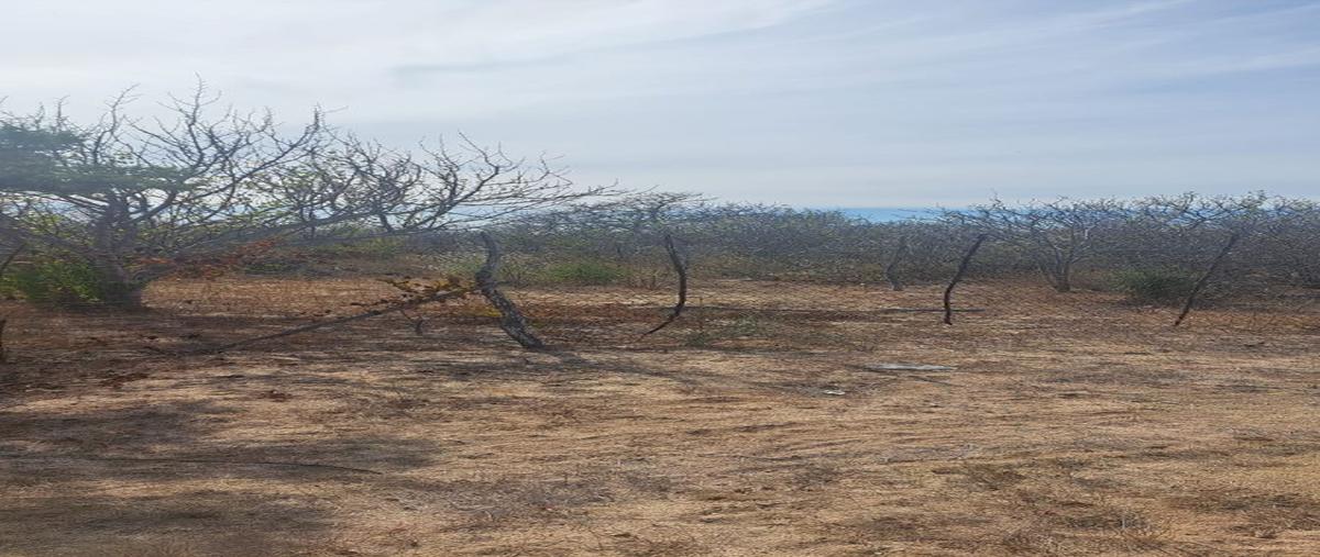 Foto de terreno habitacional en venta en  , san pedro, la paz, baja california sur, 27940331 No. 04