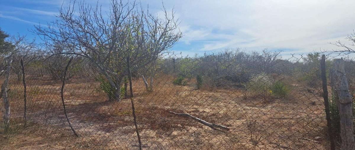 Foto de terreno habitacional en venta en  , san pedro, la paz, baja california sur, 27940331 No. 05