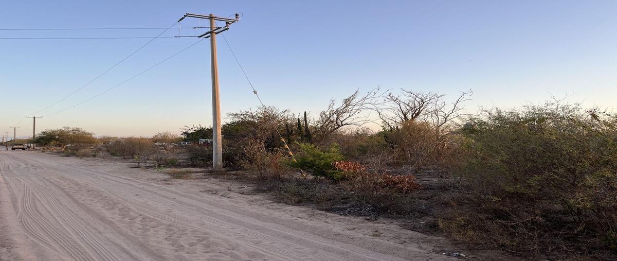Foto de terreno habitacional en venta en  , san pedro, la paz, baja california sur, 28868026 No. 03