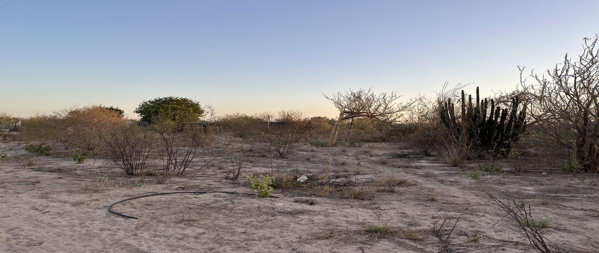 Foto de terreno habitacional en venta en  , san pedro, la paz, baja california sur, 28868026 No. 05