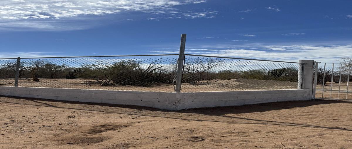 Foto de terreno habitacional en venta en  , san pedro, la paz, baja california sur, 29221385 No. 05