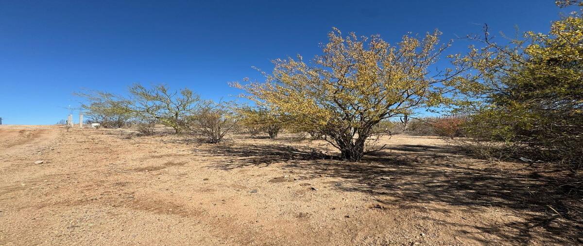 Foto de terreno habitacional en venta en  , san pedro, la paz, baja california sur, 0 No. 03