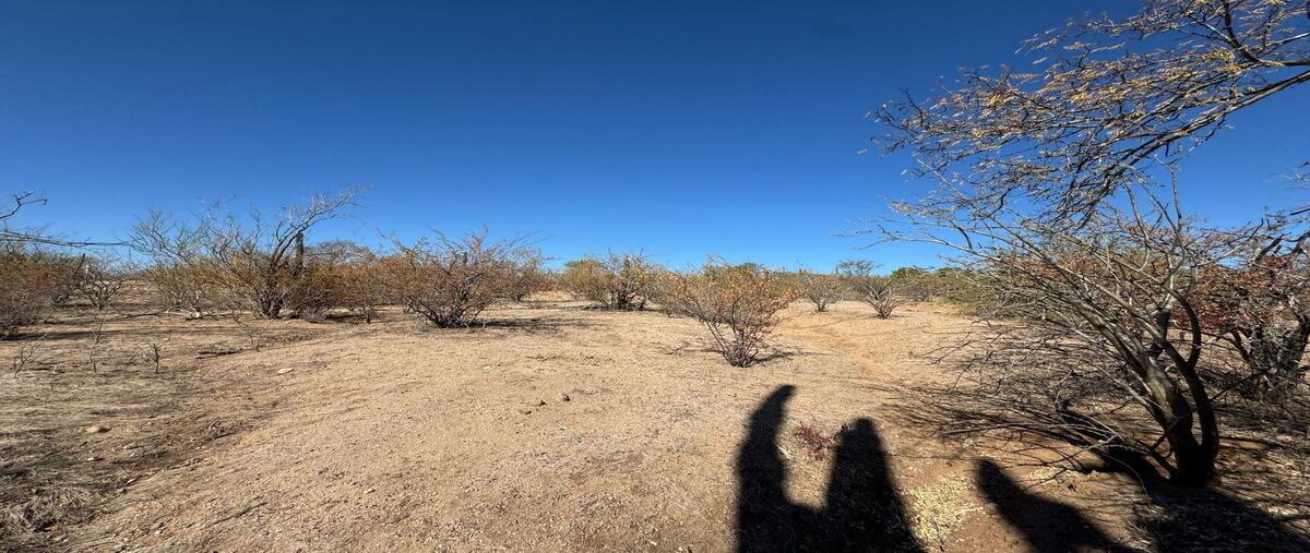 Foto de terreno habitacional en venta en  , san pedro, la paz, baja california sur, 0 No. 05