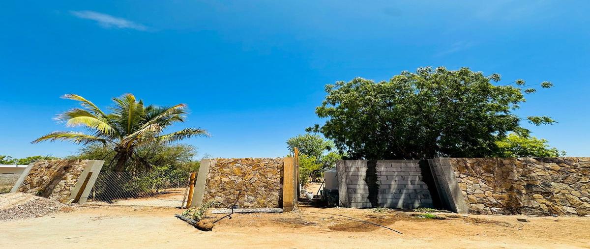 Foto de terreno habitacional en venta en  , san pedro, la paz, baja california sur, 30032418 No. 01