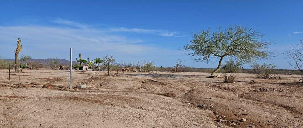 Foto de terreno habitacional en venta en  , san pedro, la paz, baja california sur, 0 No. 03