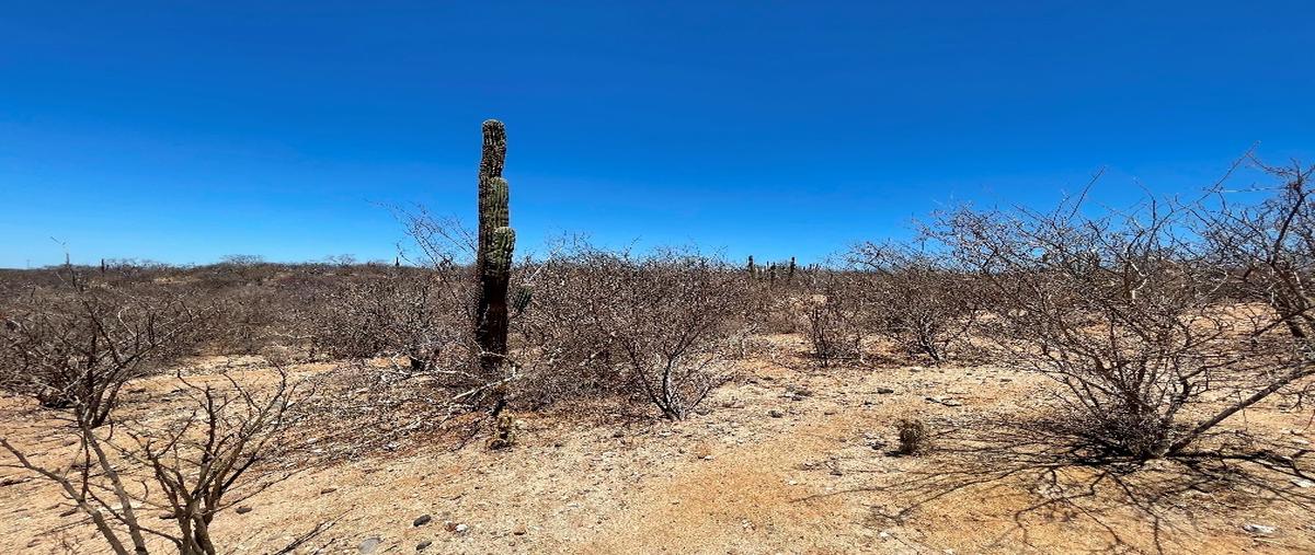 Foto de terreno habitacional en venta en  , san pedro, la paz, baja california sur, 0 No. 02