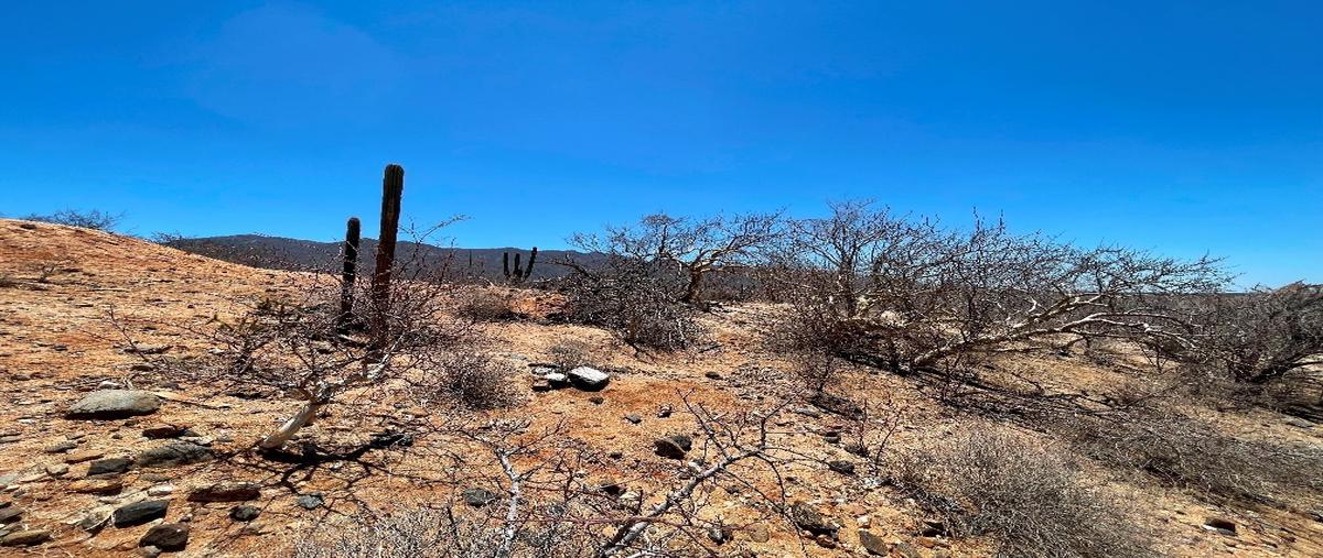 Foto de terreno habitacional en venta en  , san pedro, la paz, baja california sur, 0 No. 05