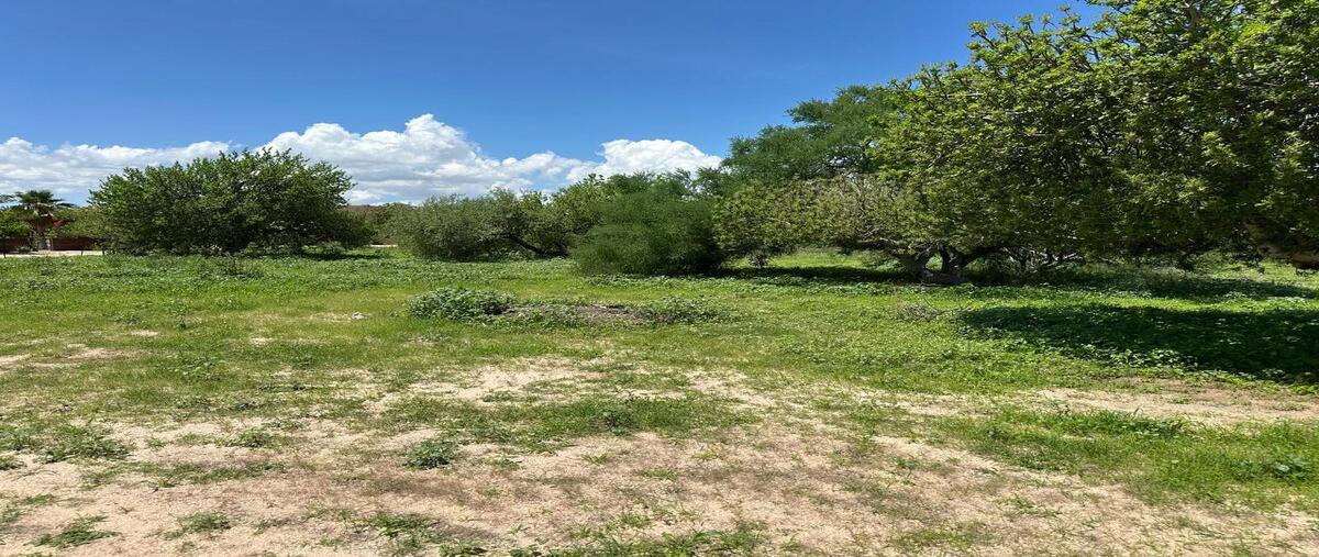 Foto de terreno habitacional en , san pedro, la paz, baja california sur, 0 foto 01 Foto de terreno habitacional en venta en , san pedro, la paz, baja california sur, 0 No. 01