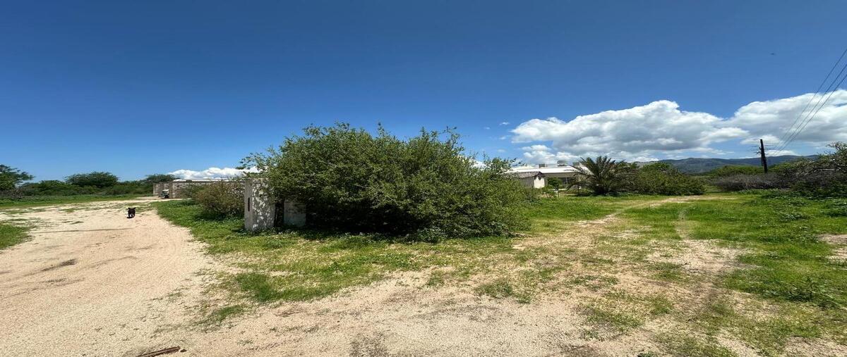 Foto de terreno habitacional en , san pedro, la paz, baja california sur, 0 foto 03 Foto de terreno habitacional en venta en , san pedro, la paz, baja california sur, 0 No. 03