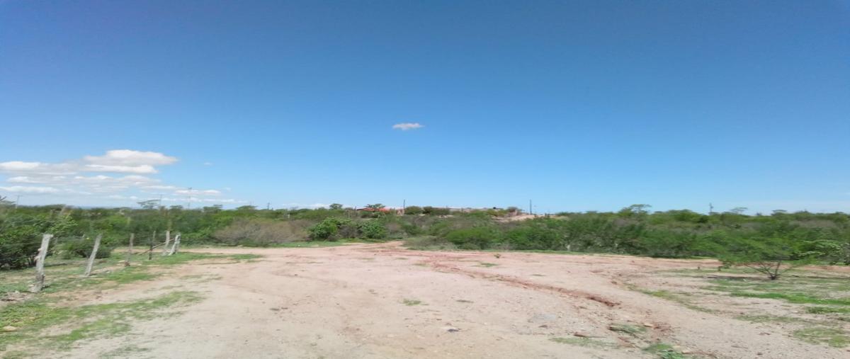 Foto de terreno habitacional en venta en  , san pedro, la paz, baja california sur, 30312075 No. 03