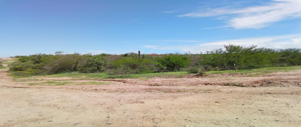 Foto de terreno habitacional en venta en  , san pedro, la paz, baja california sur, 30312075 No. 05