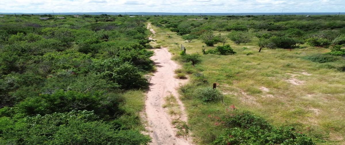 Foto de terreno habitacional en venta en  , san pedro, la paz, baja california sur, 30424969 No. 03