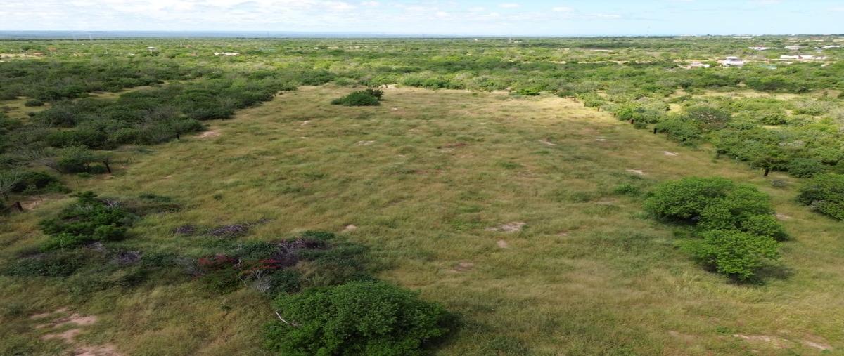 Foto de terreno habitacional en venta en  , san pedro, la paz, baja california sur, 30424969 No. 04