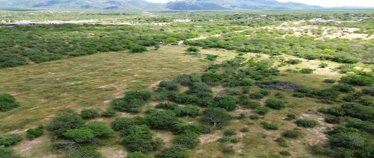Foto de terreno habitacional en venta en  , san pedro, la paz, baja california sur, 0 No. 06