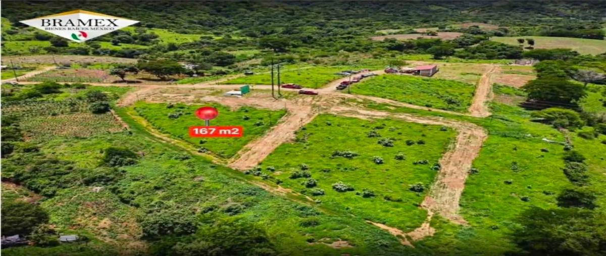 Foto de terreno habitacional en venta en  , san pedro limón, tlatlaya, méxico, 0 No. 03