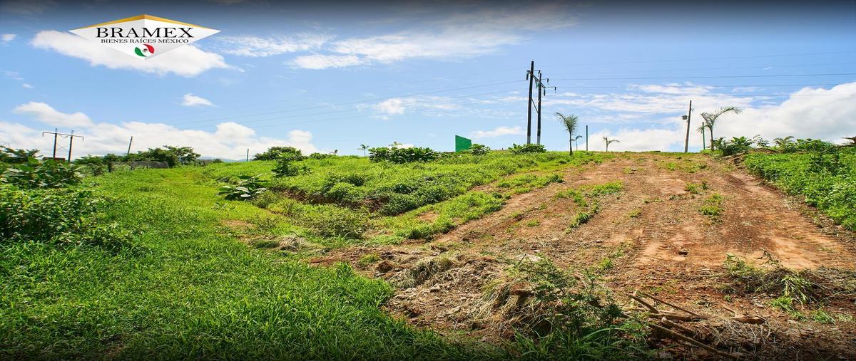 Foto de terreno habitacional en venta en  , san pedro limón, tlatlaya, méxico, 0 No. 04