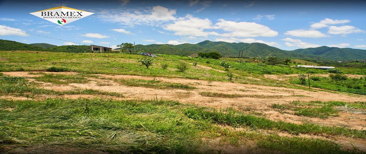 Foto de terreno habitacional en venta en  , san pedro limón, tlatlaya, méxico, 0 No. 05