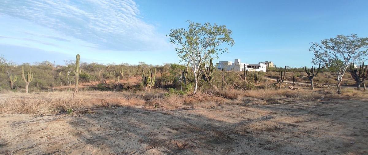 Foto de terreno habitacional en venta en san pedro martir , brisas del pacifico, los cabos, baja california sur, 30069373 No. 03