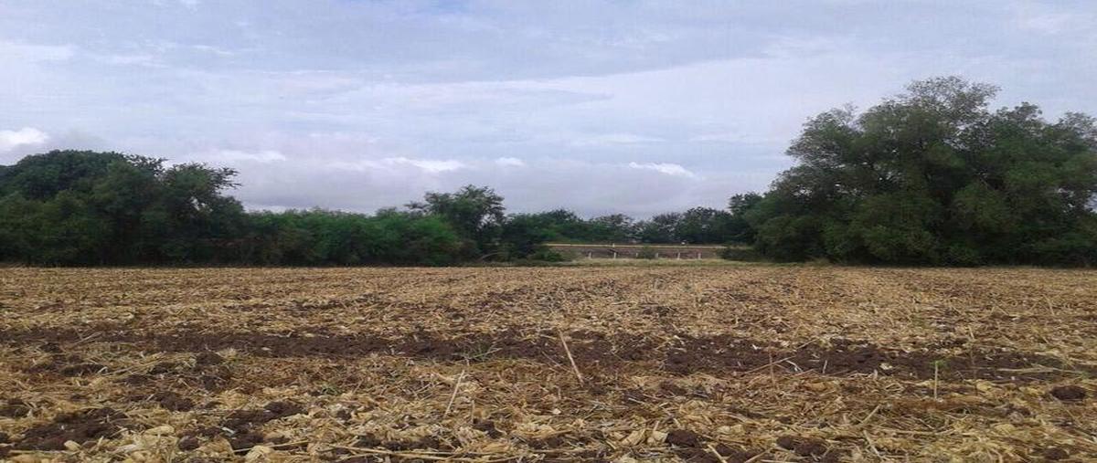 Foto de terreno habitacional en venta en  , san pedro, navolato, sinaloa, 11169880 No. 03