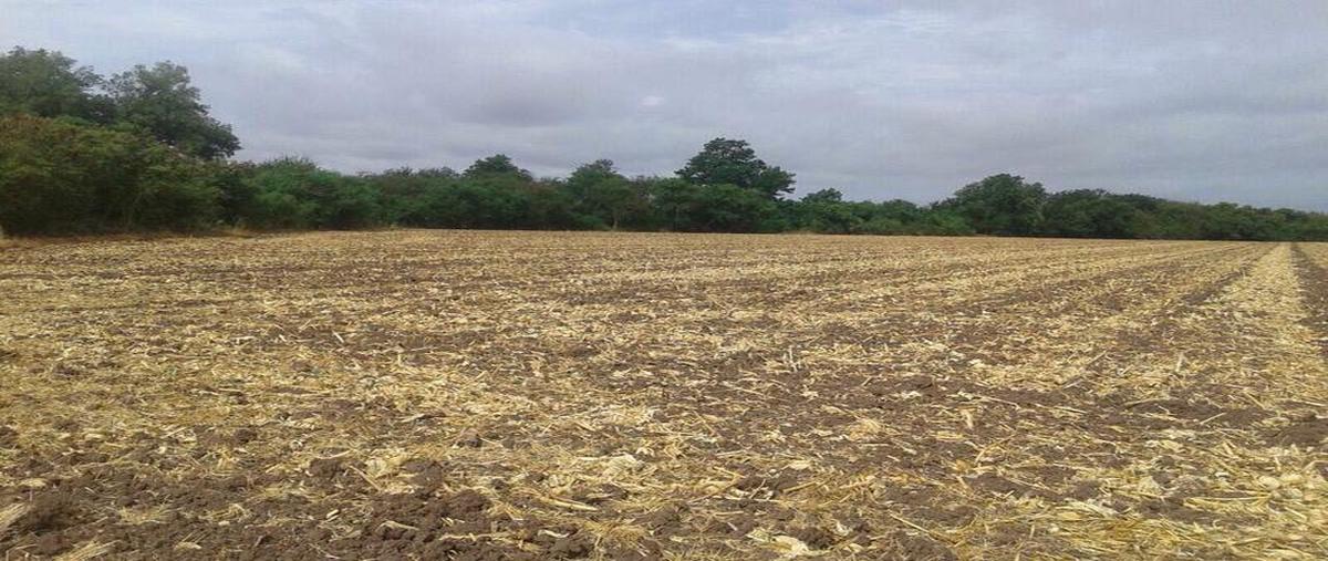 Foto de terreno habitacional en venta en  , san pedro, navolato, sinaloa, 11169880 No. 04