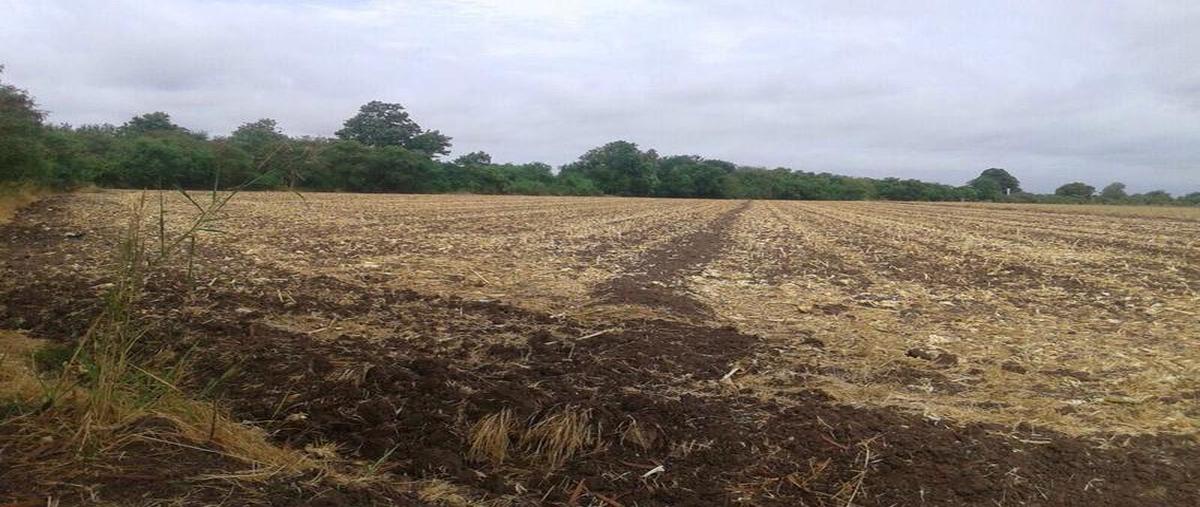 Foto de terreno habitacional en venta en  , san pedro, navolato, sinaloa, 11169880 No. 05
