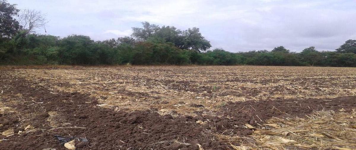 Foto de terreno habitacional en venta en  , san pedro, navolato, sinaloa, 11169883 No. 03