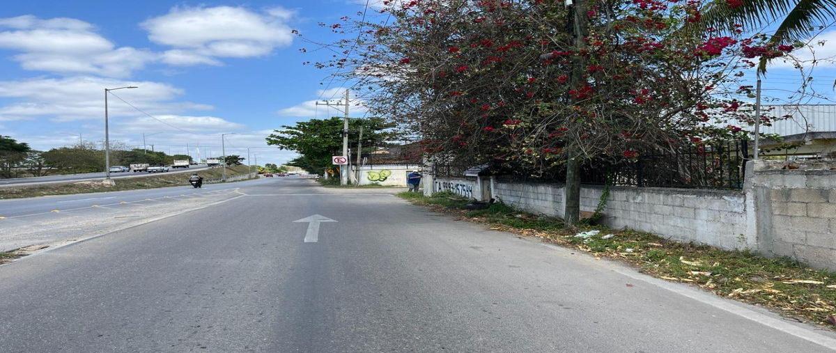Foto de terreno habitacional en renta en  , san pedro noh pat, kanasín, yucatán, 30526173 No. 04