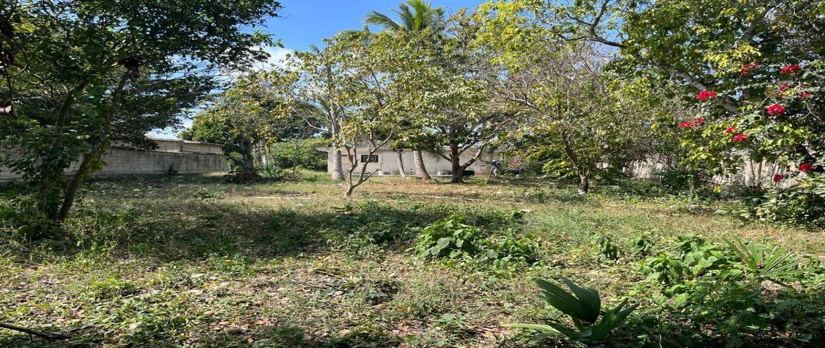 Foto de terreno habitacional en renta en  , san pedro noh pat, kanasín, yucatán, 30526173 No. 05