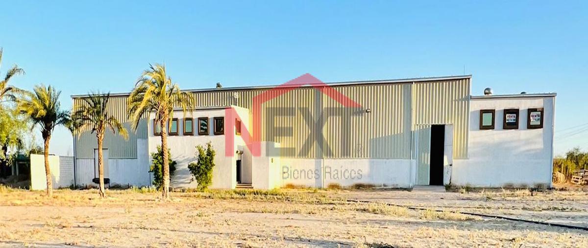 Foto de bodega en renta en san pedro o el saucito (san pedro el saucito) 0, san pedro o el saucito (san pedro el saucito), hermosillo, sonora, 0 No. 03