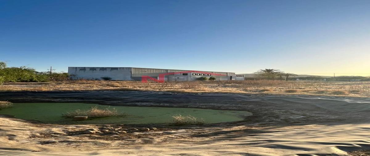 Foto de bodega en renta en san pedro o el saucito (san pedro el saucito) 0, san pedro o el saucito (san pedro el saucito), hermosillo, sonora, 0 No. 04