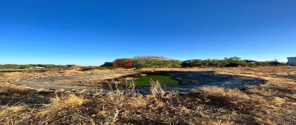 Foto de bodega en san pedro o el saucito (san pedro el saucito) 0, san pedro o el saucito (san pedro el saucito), hermosillo, sonora, 0 foto 05 Foto de bodega en venta en san pedro o el saucito (san pedro el saucito) 0, san pedro o el saucito (san pedro el saucito), hermosillo, sonora, 0 No. 05